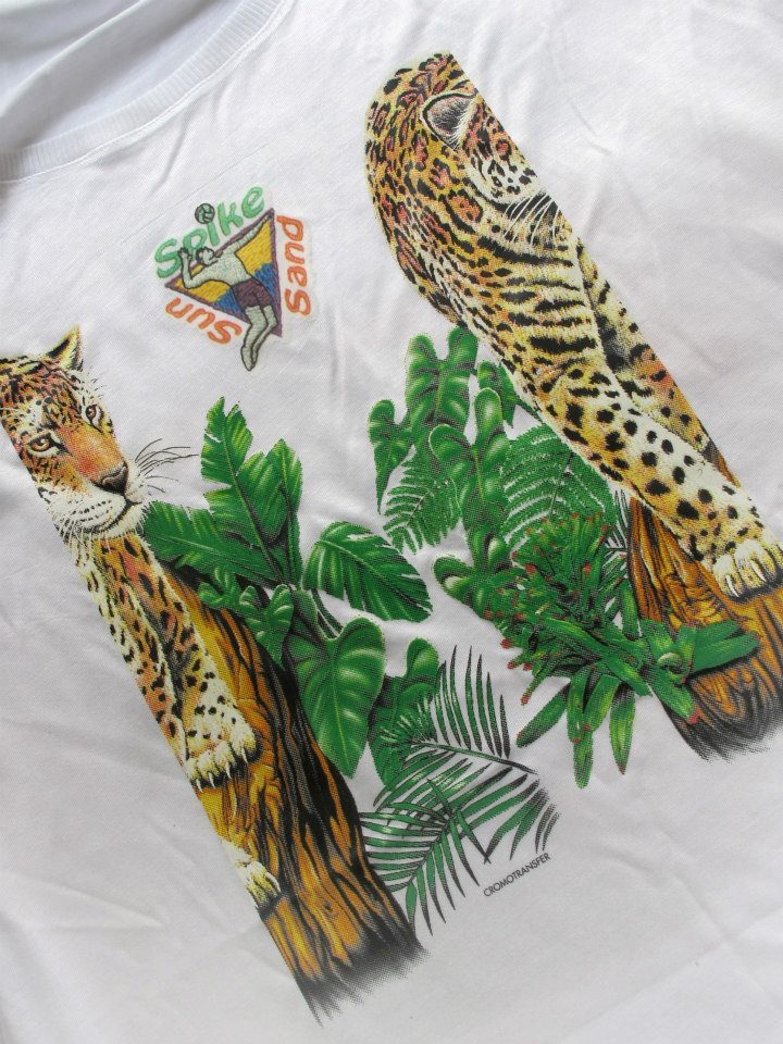 arara
